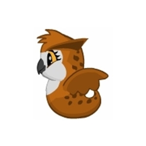 Earl the Sea Owl